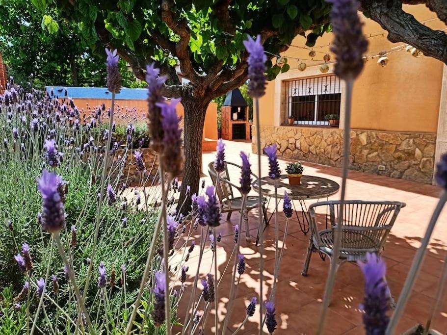 Mas Del Vent- Barbacoa, Jardin, Piscina Privada Y Vistas A Mar Villa Cunit Bagian luar foto